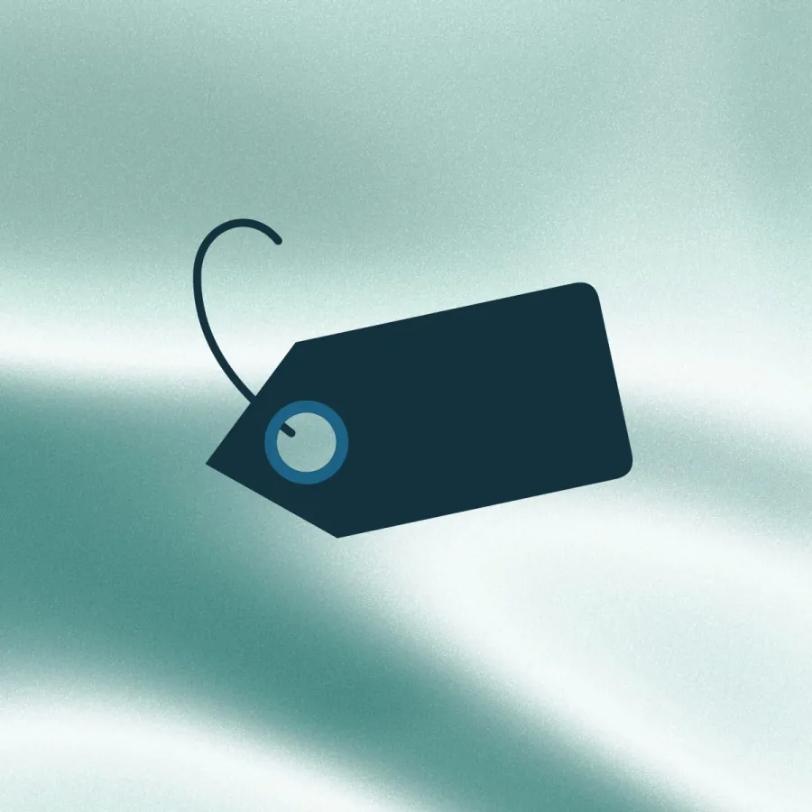 A swing price tag on its string, with the eyelet ring picked out