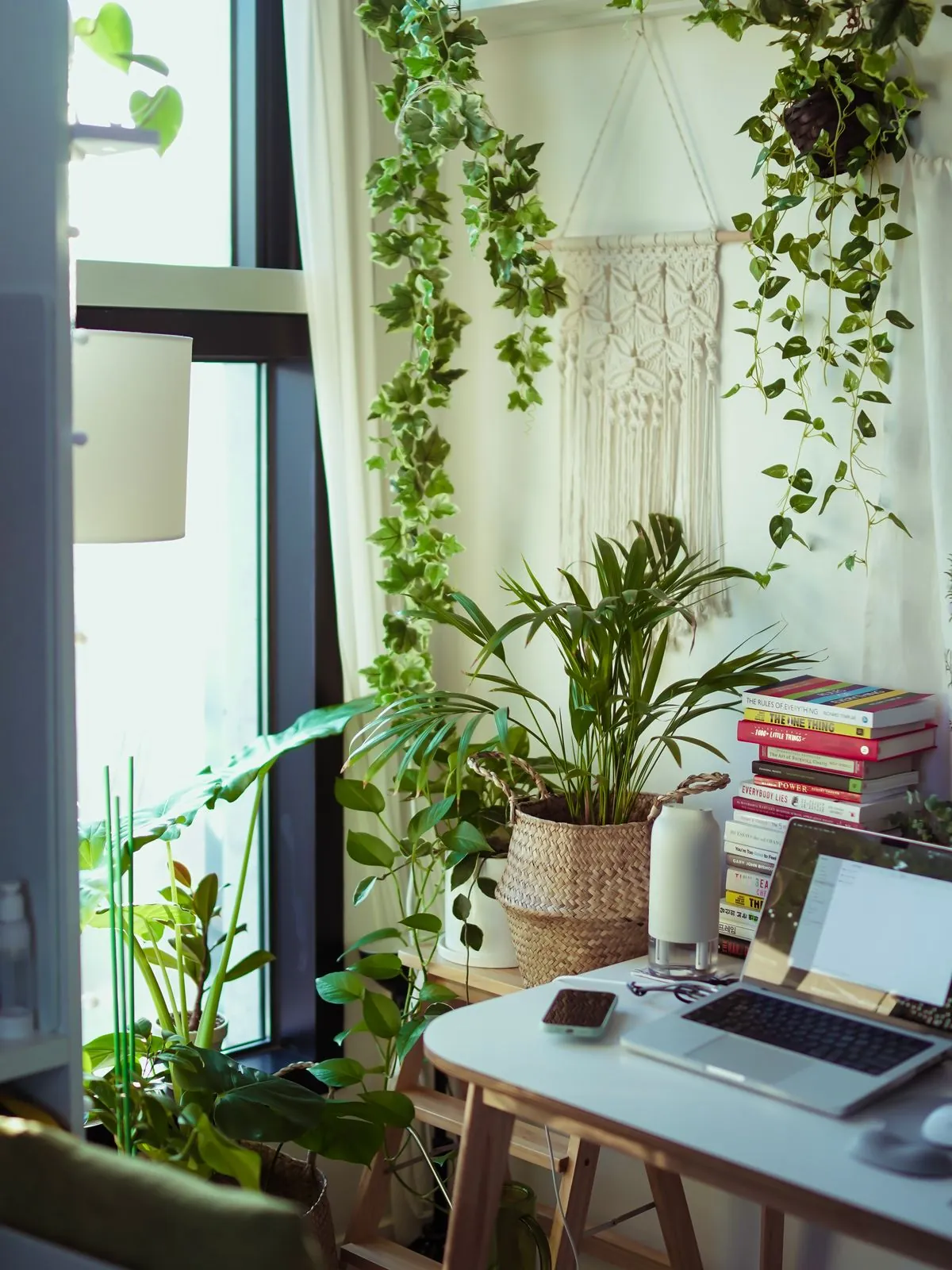 A laptop on a table in a bright room full of potted plants
